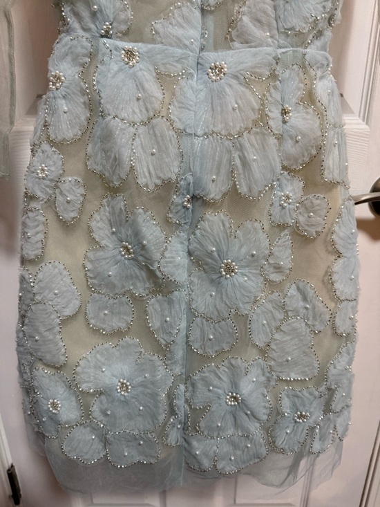 XY Bymyxy Pale Blue Floral Appliqué Tulle Dress with faux Pearls - Picture 6 of 9